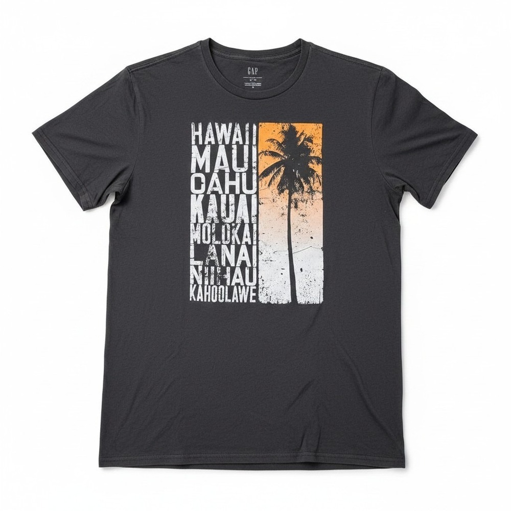 GAP Hawaii Graphic Tee L Dark Gray Palm Tree Island List Souvenir Short Sleeve